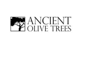 Ancient Olive Trees