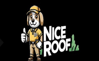 Nice Roof