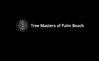 Tree Masters of Palm Beach